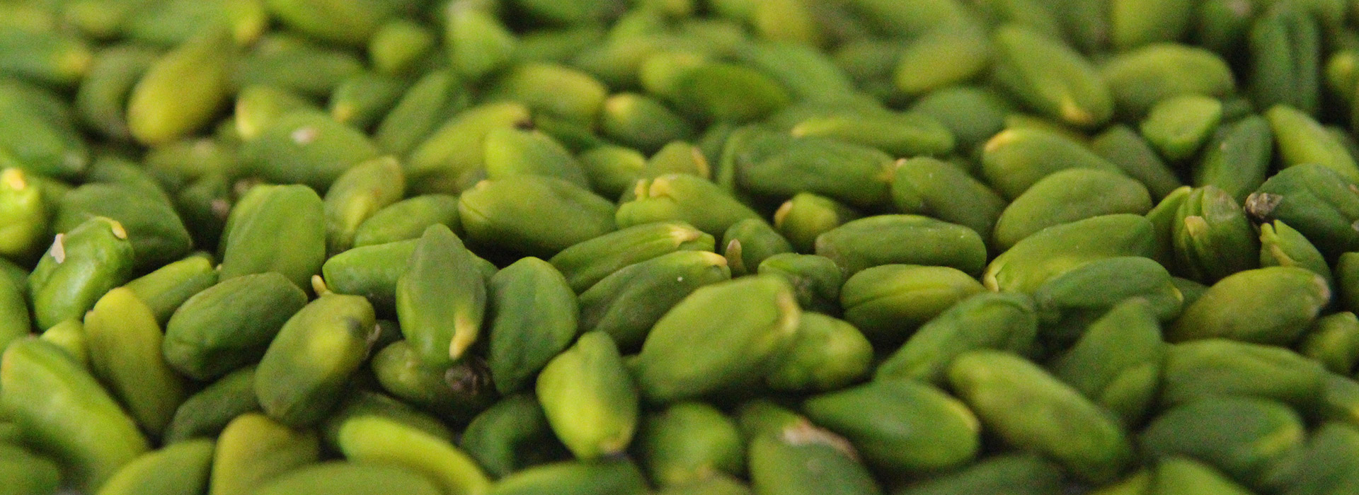 Consorzio del Pistacchio Verde di Bronte DOP